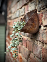 Load image into Gallery viewer, Vintage Rusty Metal Wall Mounted Planter / Herb Planter / Plant Pot / Key Holder
