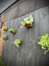 Load image into Gallery viewer, Vintage Rusty Metal Wall Mounted Planter / Herb Planter Plant Pot Fence Display
