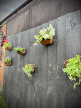 Load image into Gallery viewer, Vintage Rusty Metal Wall Mounted Planter / Herb Planter / Plant Pot / Key Holder
