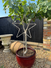 Load image into Gallery viewer, Garden Stars On Ground Spikes / Metal Star Ornaments / Lawn Decor
