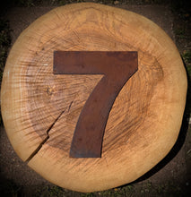 Load image into Gallery viewer, 5&quot; Fat Font Rusty Metal Letters A-Z 0-9
