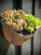 Load image into Gallery viewer, Vintage Rusty Metal Wall Mounted Planter / Herb Planter Plant Pot Fence Display
