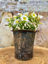 Load image into Gallery viewer, Vintage Small Mini Metal Bucket / Plant Pot / Herb Planter / Windowsill Pot
