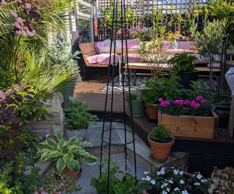 Metal Garden Obelisk Plant Support
